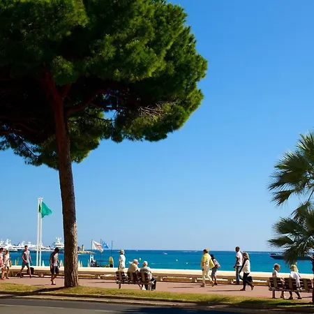 Guestroom - D'hote * Le Cannet